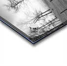 MEADOW Acrylic print