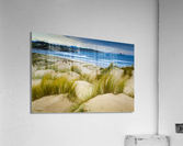 Liencres dunes 2 Acrylic Print