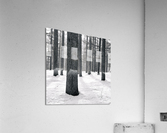 WINTER VIEW II Acrylic Print