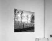 MEADOW Acrylic Print