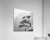LARRA Acrylic Print