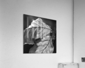LEAVES Acrylic Print