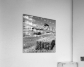CEREAL LAND Acrylic Print