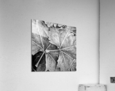 LEAVES Acrylic Print