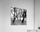 WICKLOW Acrylic Print