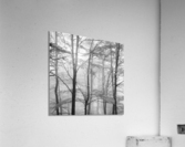 FORESTRY Acrylic Print