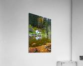 Cabin in Irati Forest 02 Acrylic Print