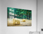 Wheat bales. Spain. Acrylic Print