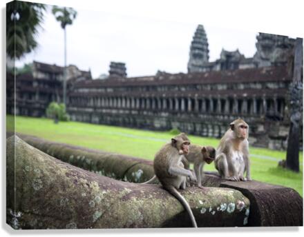 Angkor Wat III Canvas Print