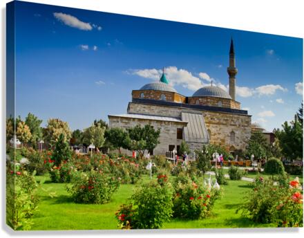 Konia 02 Canvas Print