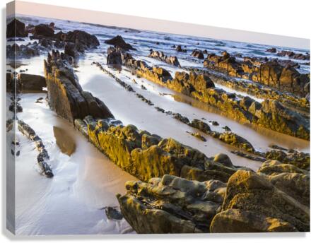 Barrika beach 02 Canvas Print