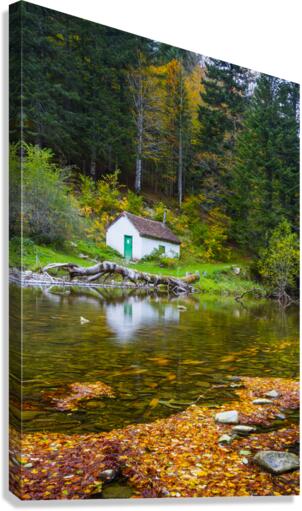 Cabin in Irati Forest 02 Canvas Print