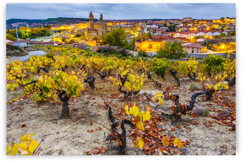 Vineyards in autumn. La Rioja Spain 07 by Mikel Bilbao Photography