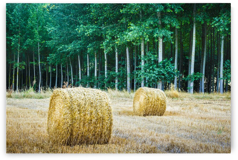 Wheat bales. Spain. by Mikel Bilbao Photography