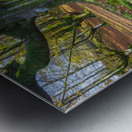 Otzarreta beechwood 04 Metal print