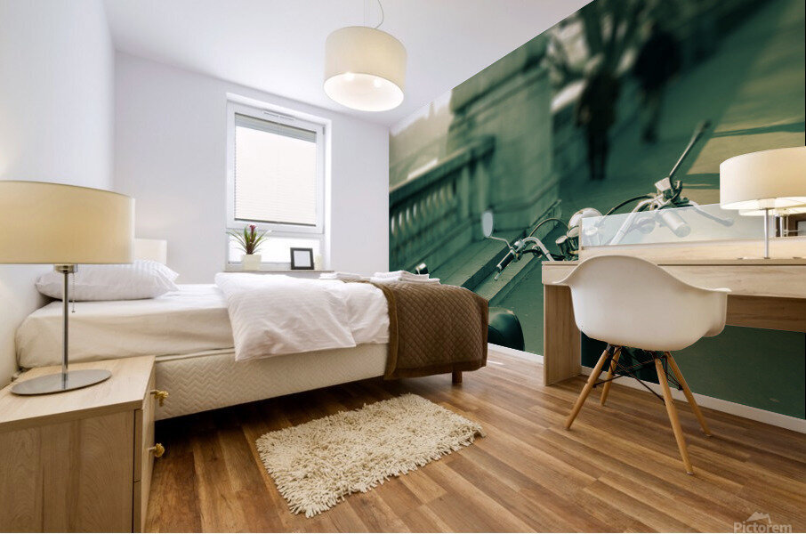 Paris II Mural print