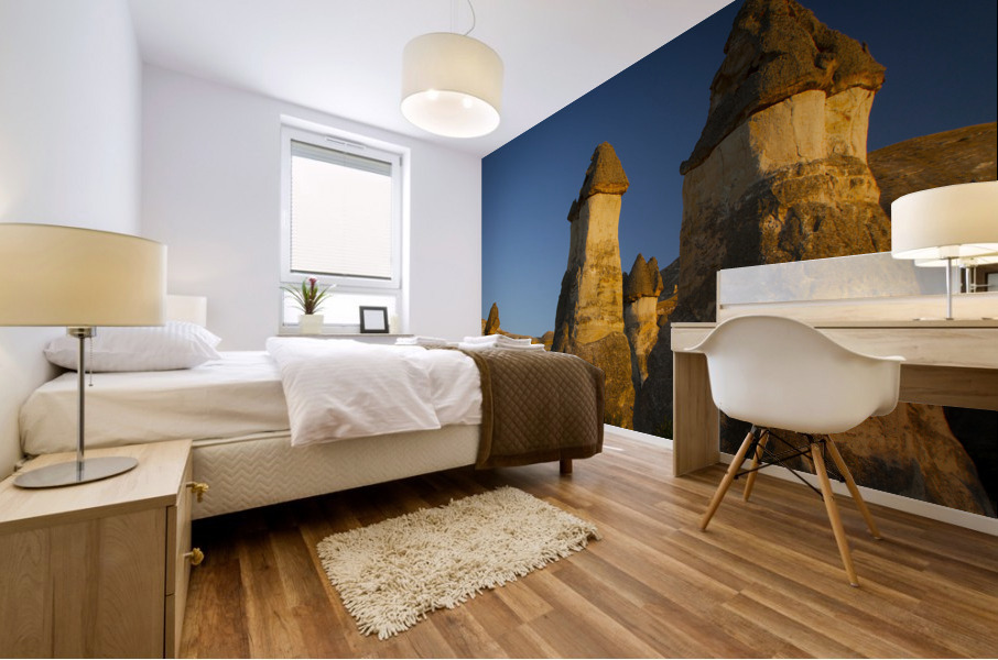 Cappadocia 23 Mural print