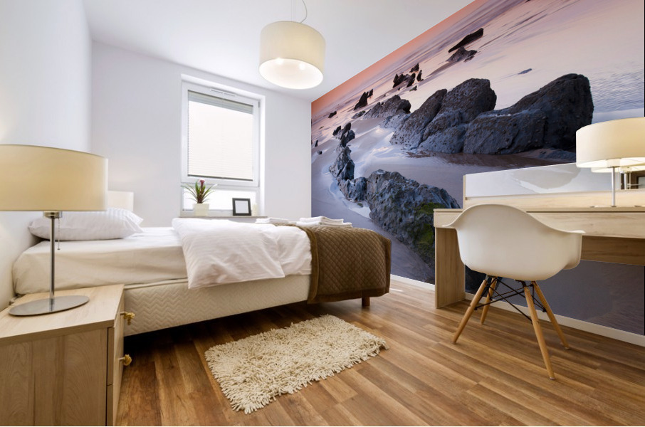 Barrika beach Mural print