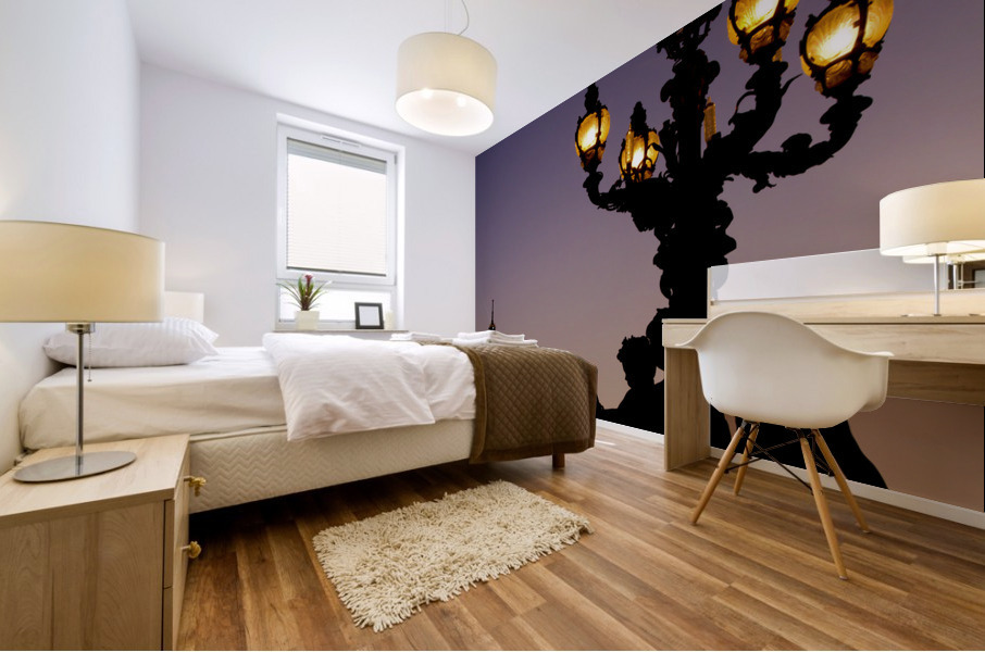 Paris sunset Mural print