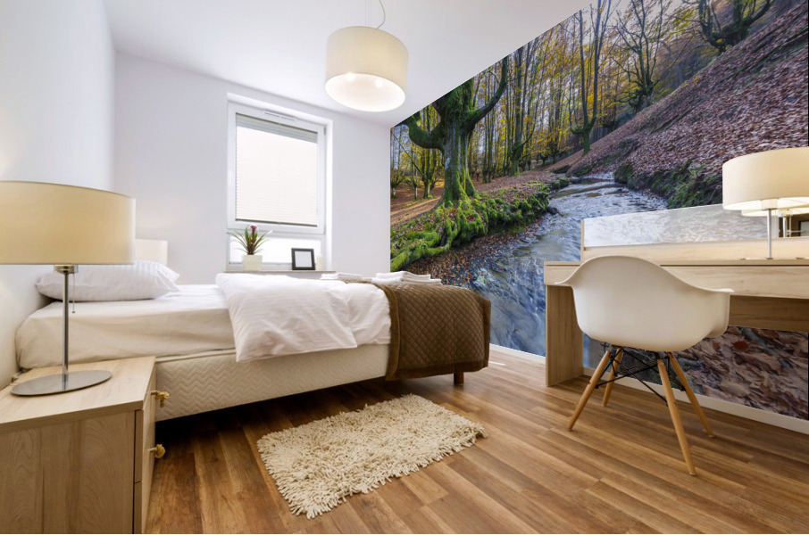 Otzarreta beechwood 04 Mural print