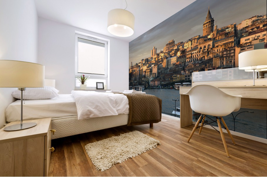 Istanbul I Mural print