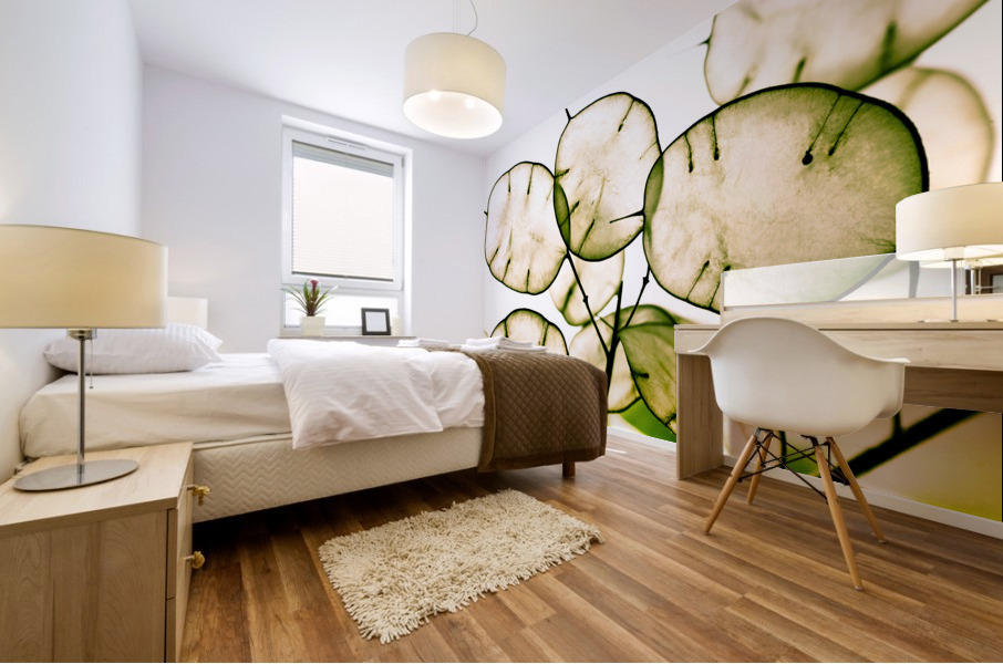 Honesty seeds Mural print