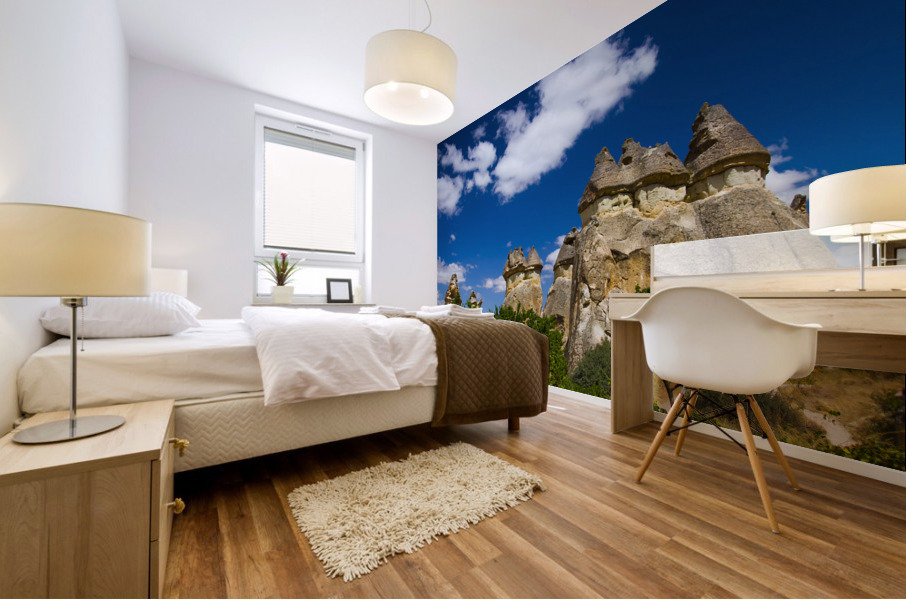 Cappadocia 19 Mural print