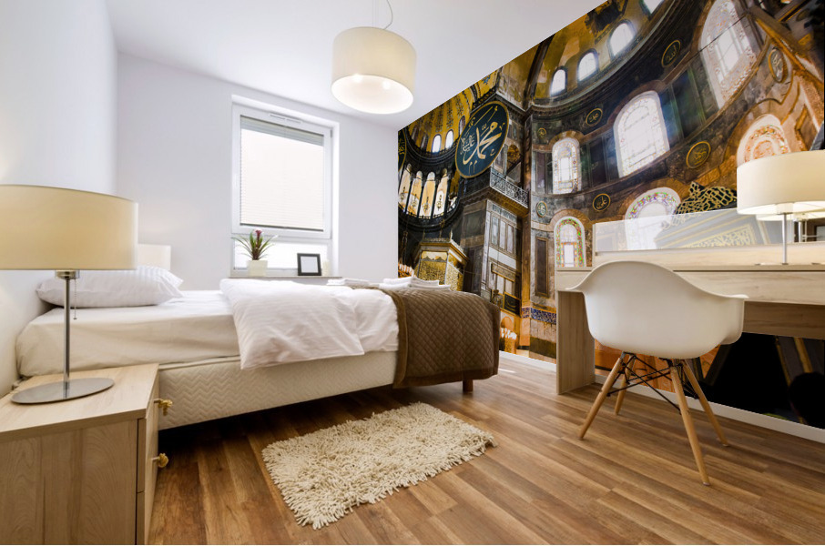 Istanbul VII Mural print