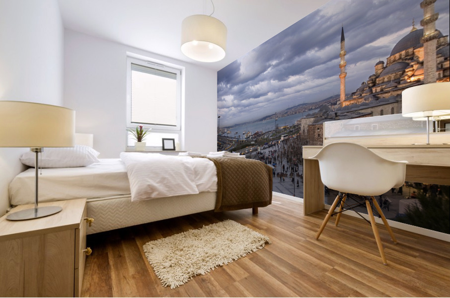 Istanbul II Mural print