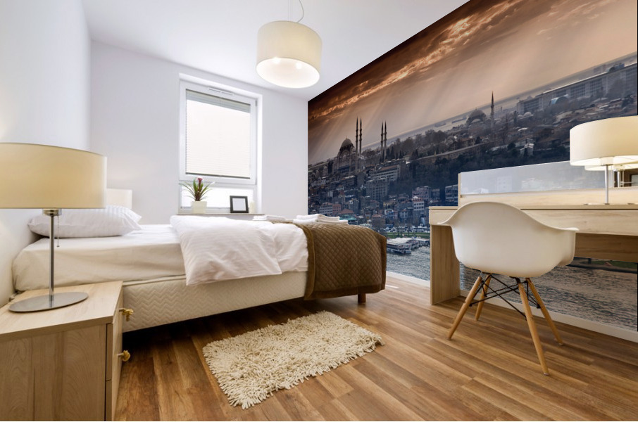 Istanbul V Mural print