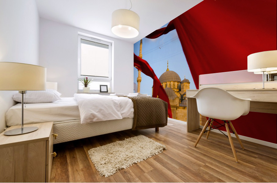 Istanbul X Mural print