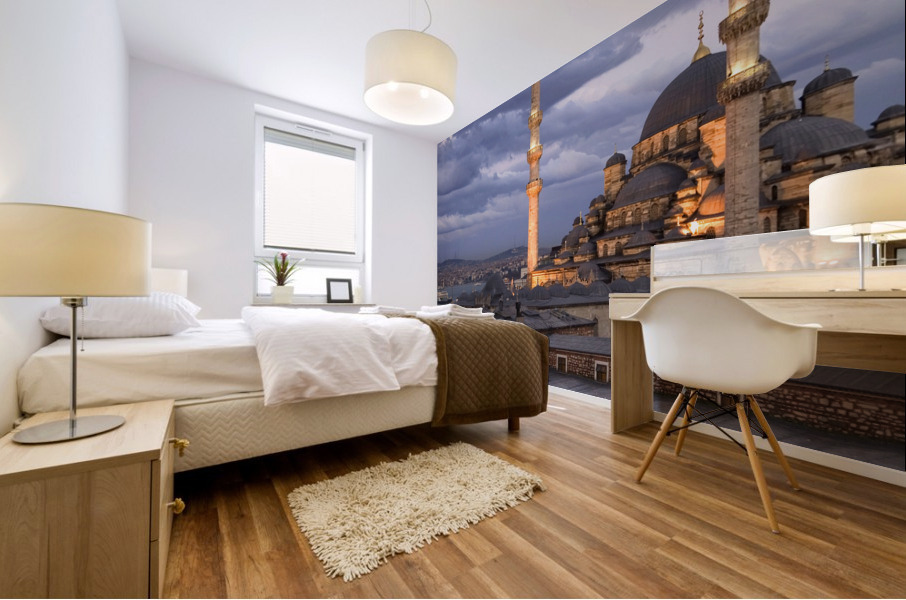 Istanbul III Mural print