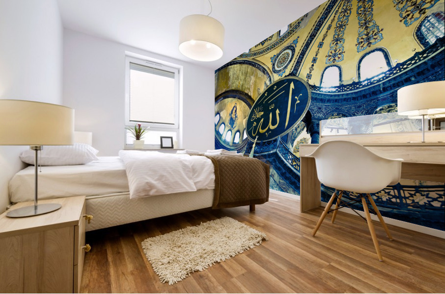 Istanbul VIII Mural print