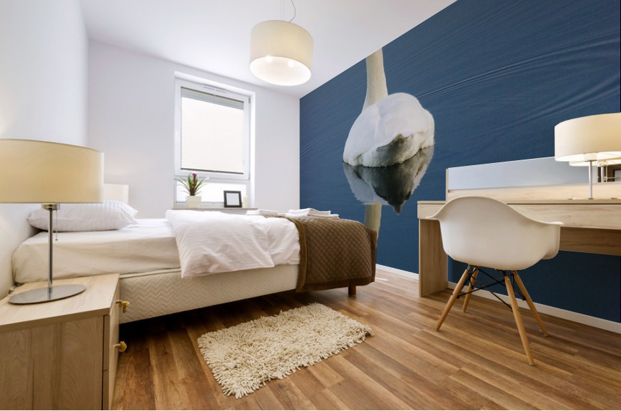 Mute swan Mural print