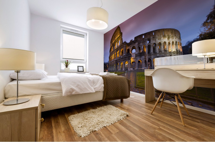 Roman Coliseum Mural print