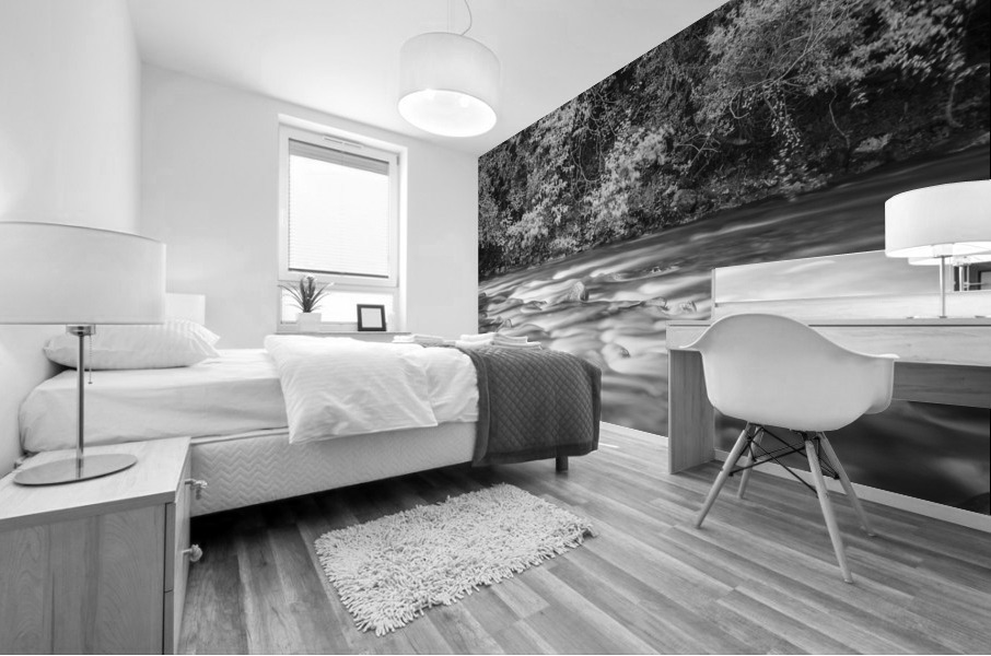 ASON RIVER Mural print