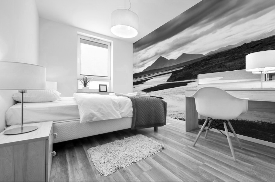 JOKULSA RIVER Mural print