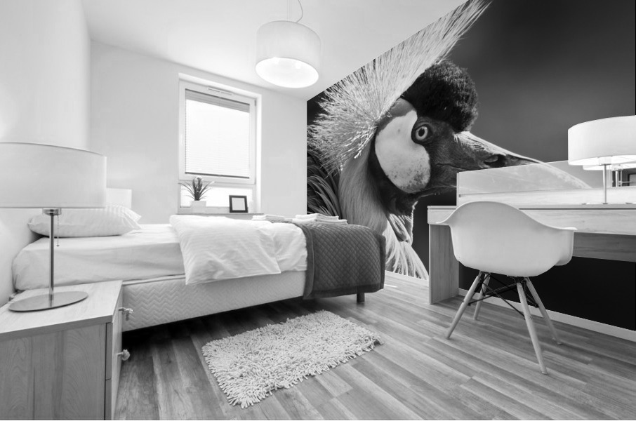 GREY CROWNED CRANE Mural print