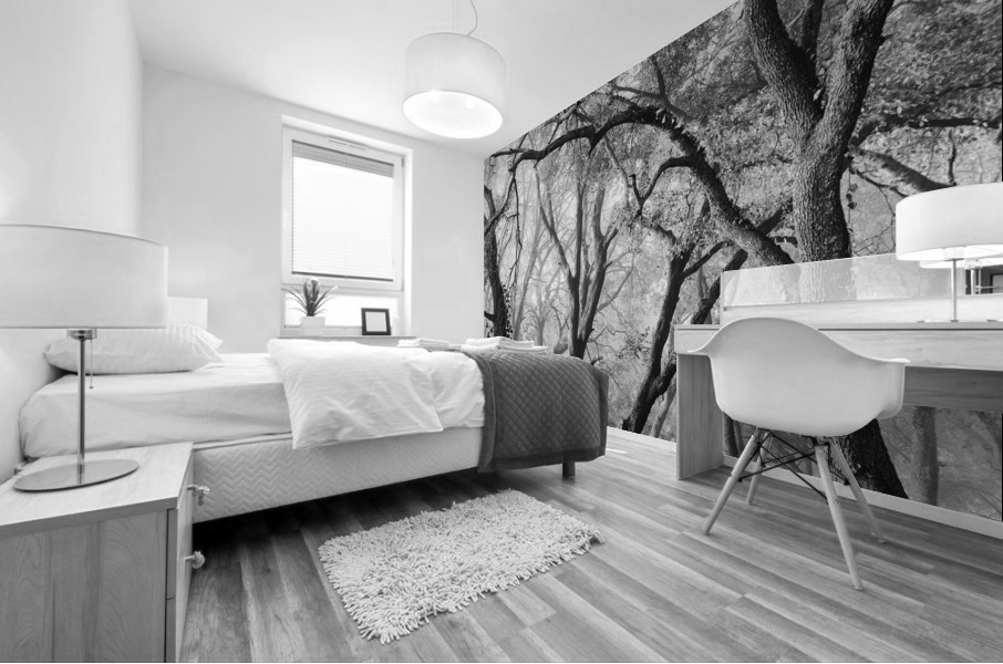 OAK GROVE Mural print