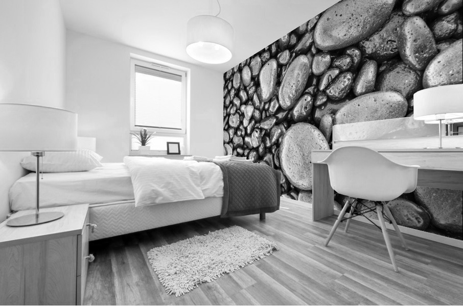 SHINGLES Mural print