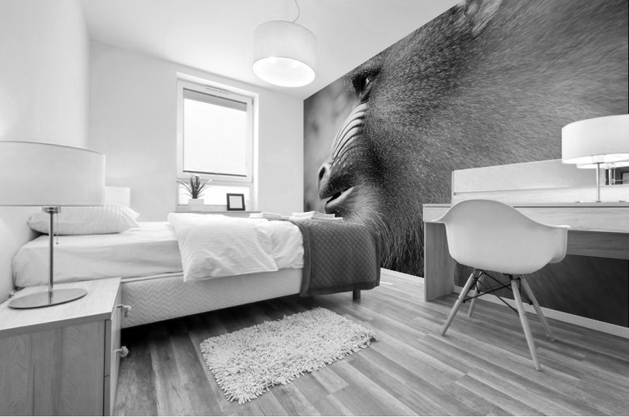 BABOON Mural print