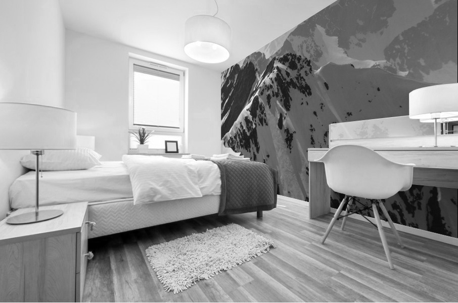 MIDI-PYRENEES Mural print
