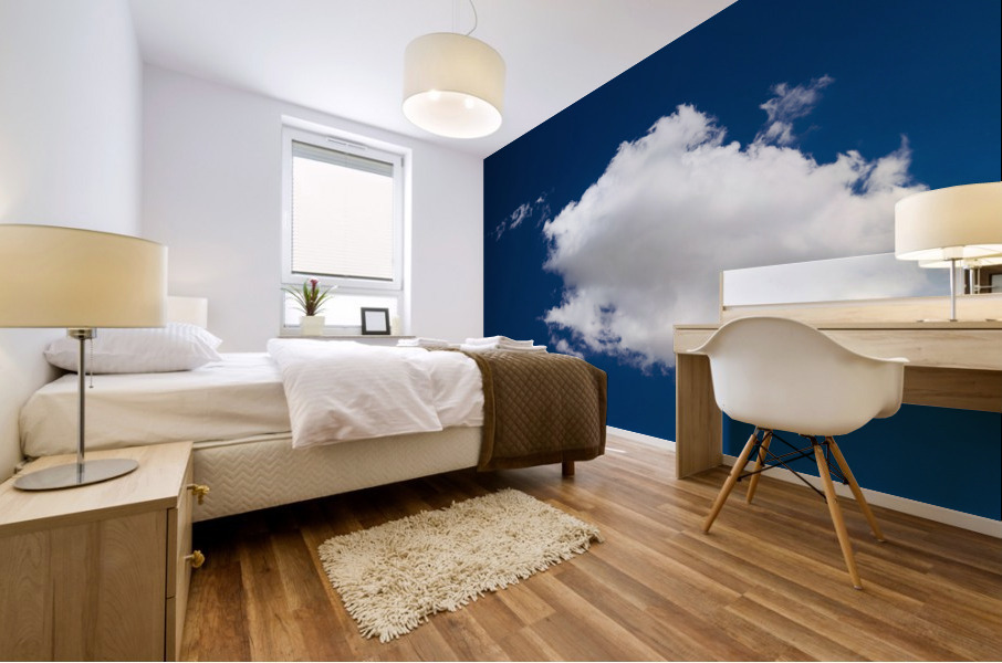 Clouds Mural print