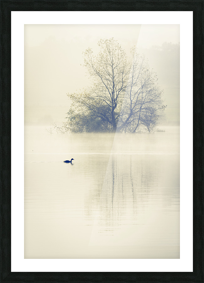 Fine Art print