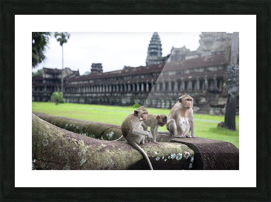 Angkor Wat III Picture Frame print