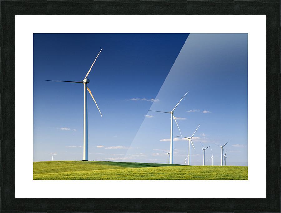  Fine Art print