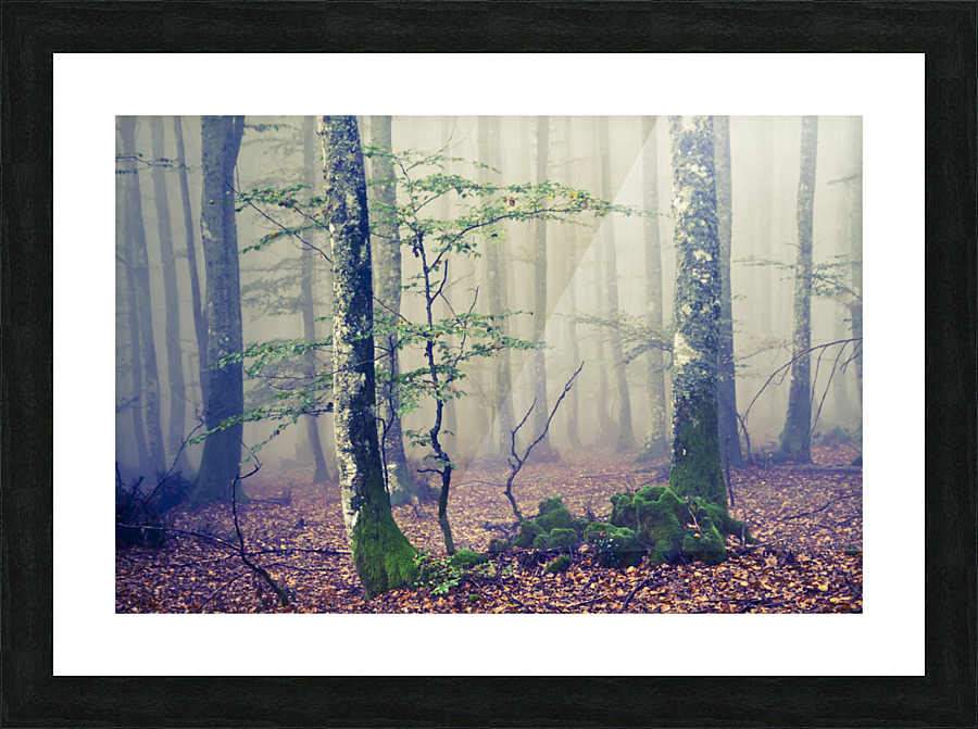  Fine Art print