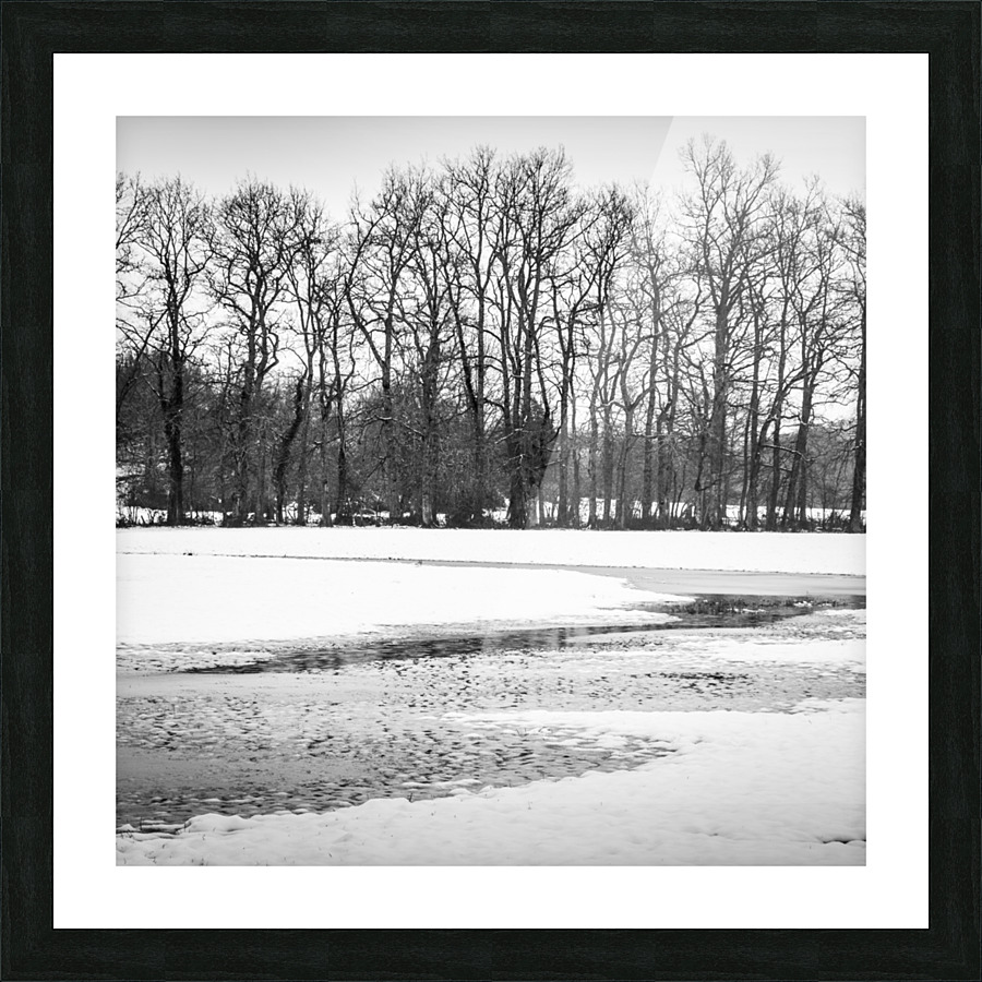 WINTER VIEW III Picture Frame print