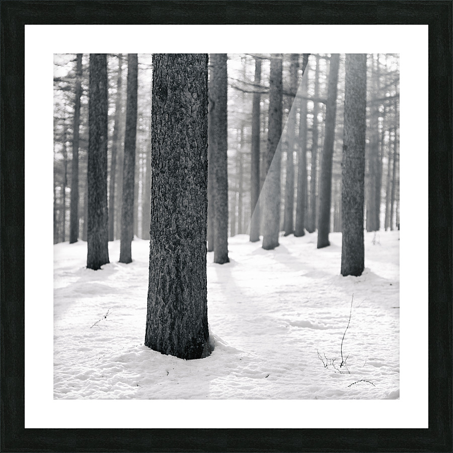WINTER VIEW II Picture Frame print