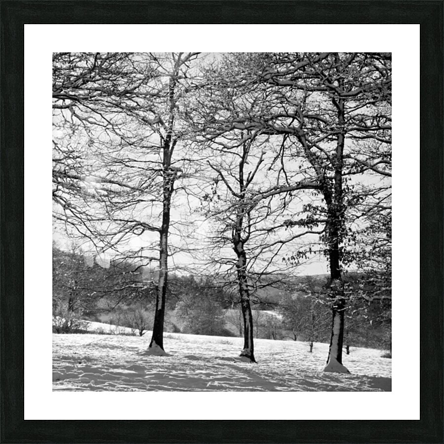 COPSE Picture Frame Printing